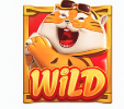 fortune tiger wild